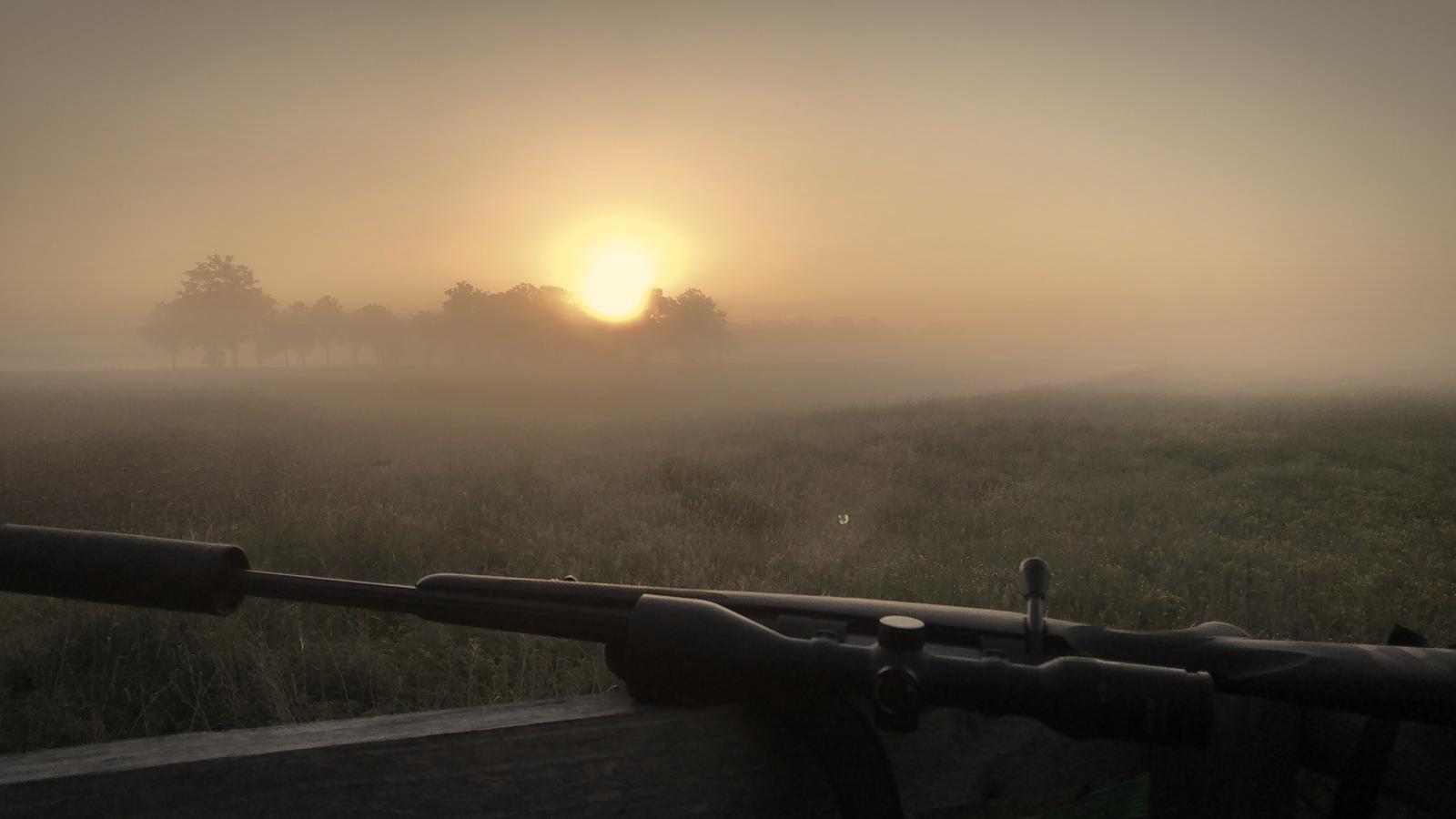Sonnenaufgang im Revier der Jagdschule Wendland